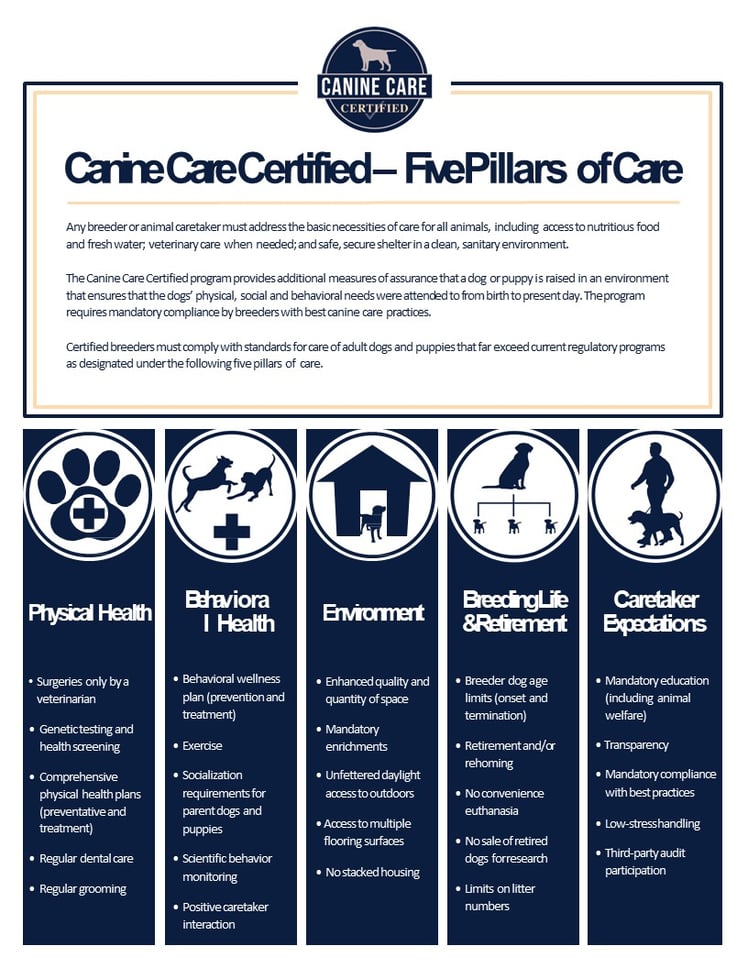 CCC - Five Pillars of Care.jpg