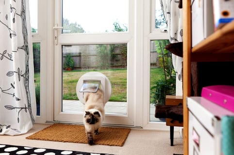 sureflap-pet-door-pet-tech.jpg